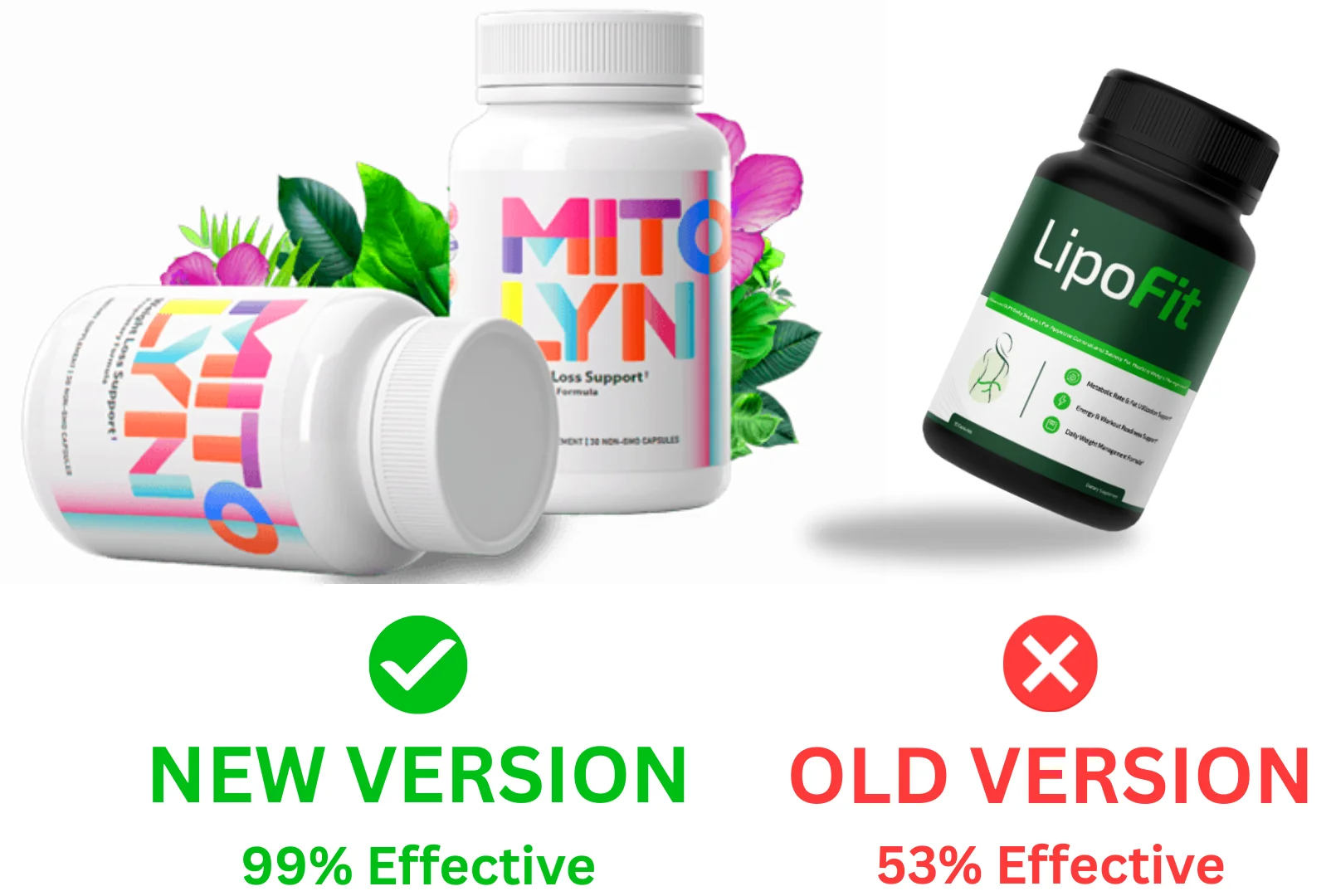 LipoFit